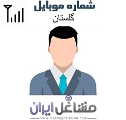 نمایش جزئیات برای مدیران شرکت های استان گلستان تصویر مدیران شرکت های استان گلستان